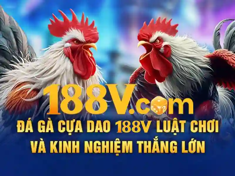 Nhận thưởng 188v – Trải nghiệm và đánh giá toàn diện
