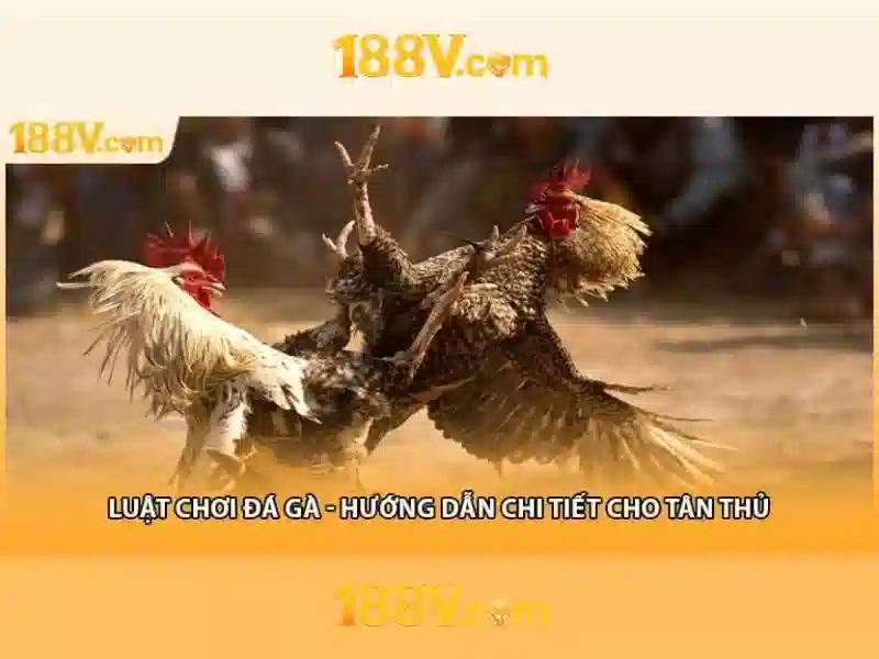 Khám phá 188v: một khái niệm trong thiết kế và công nghệ