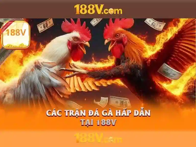 Thực tế và tương lai của 188v