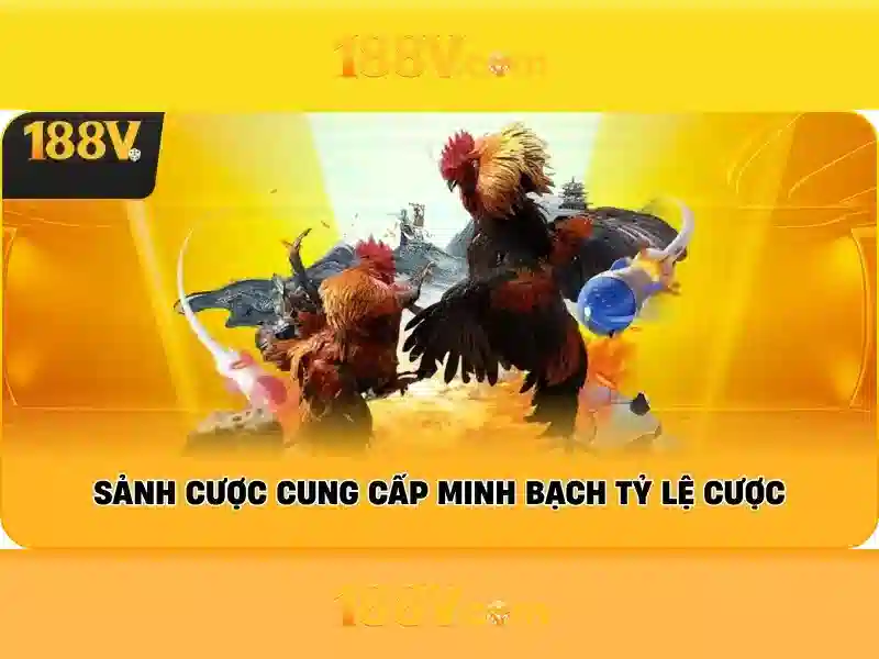 Giới thiệu về 188v