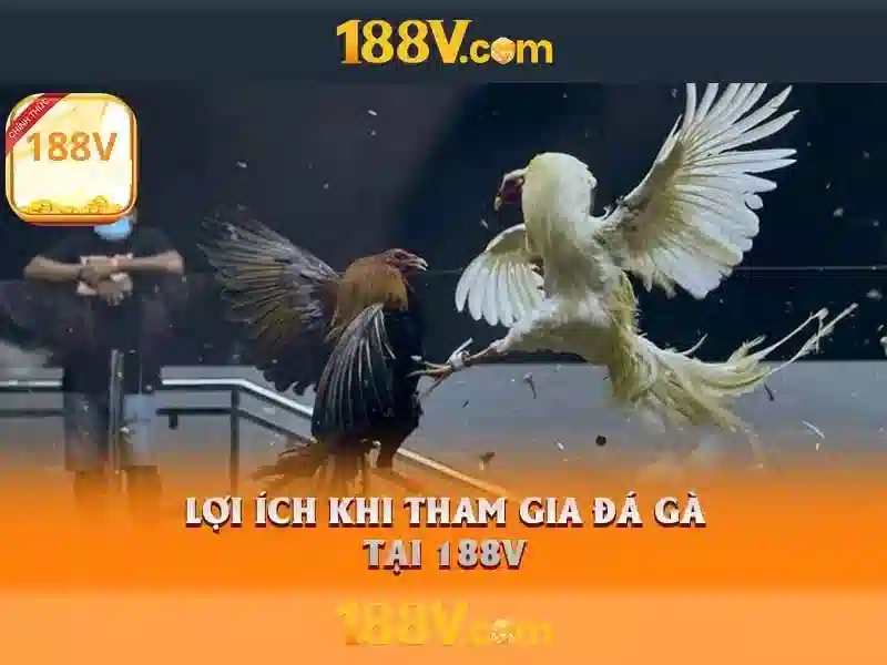 Kiến trúc và công nghệ liên quan