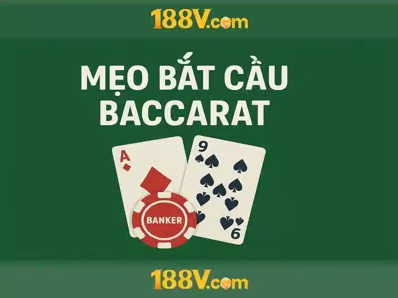 Giới thiệu về 188v