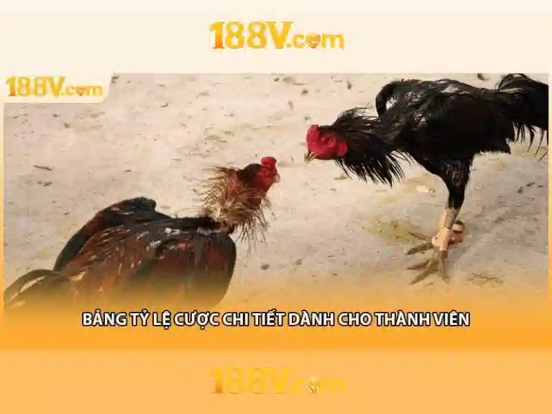 Khởi đầu với 188v: một khái niệm và hành trình khám phá