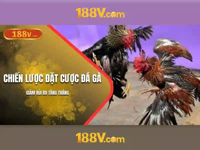 Quy tắc an toàn và hiệu quả
