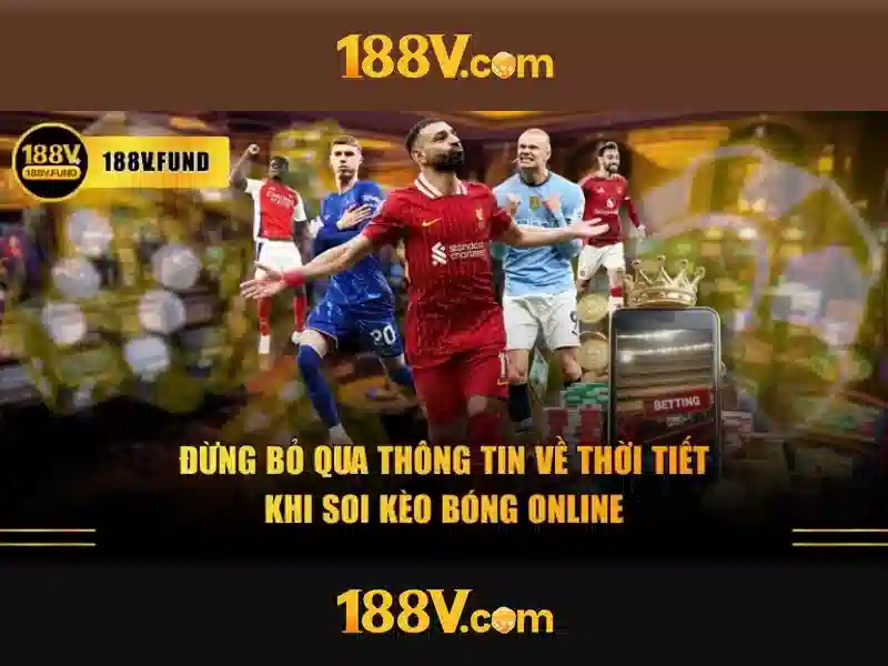 Ứng dụng trong ô tô điện