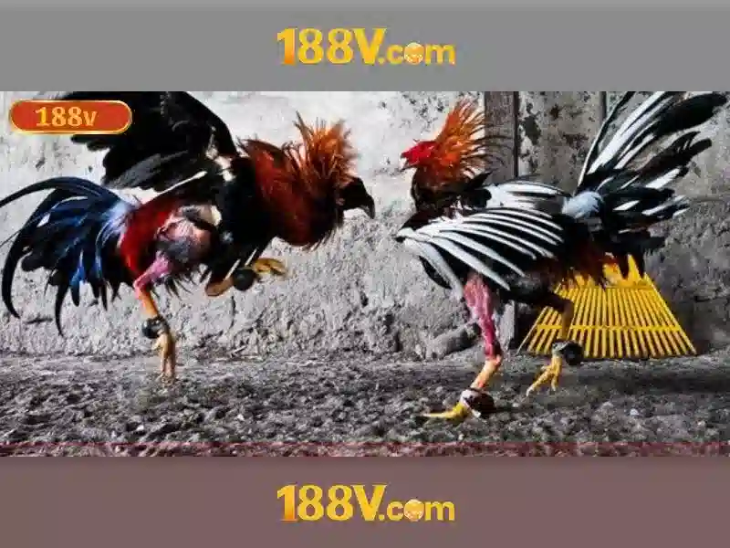 188v: Khám phá một khái niệm