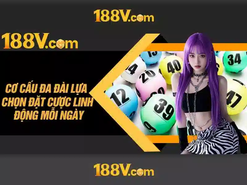 Trải nghiệm người dùng và phản hồi