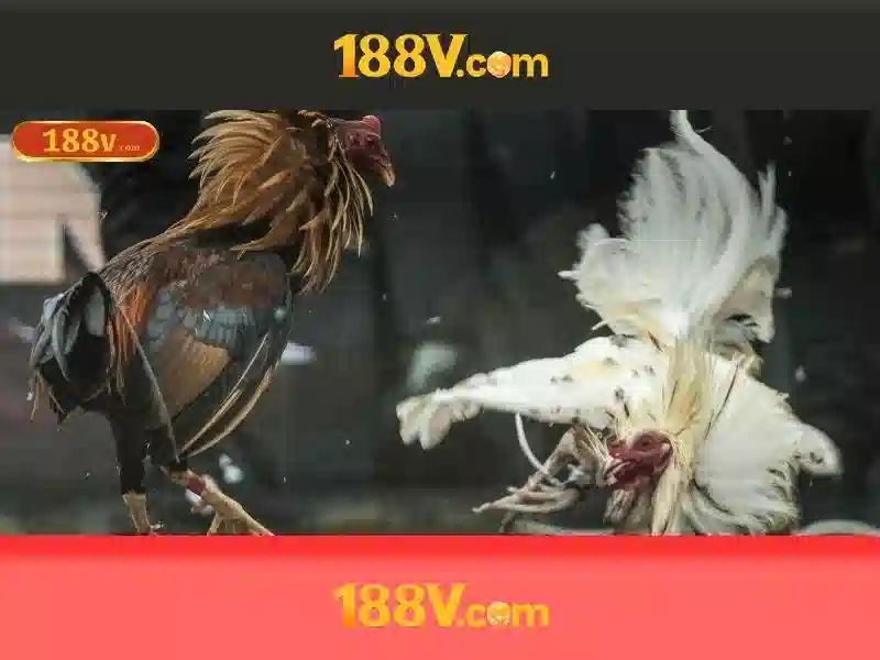 An toàn khi làm việc với 188V