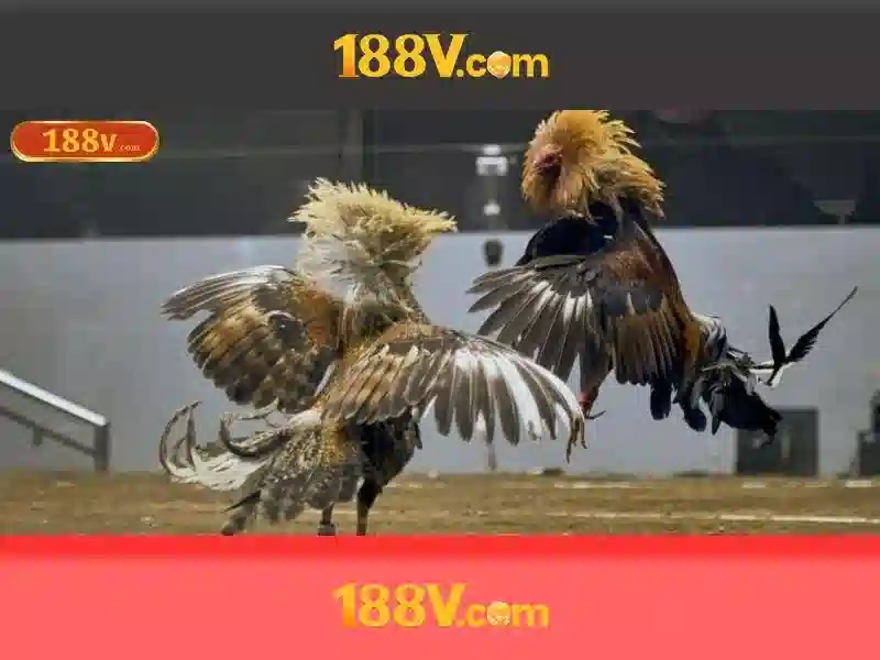 Khởi nguồn của 188v