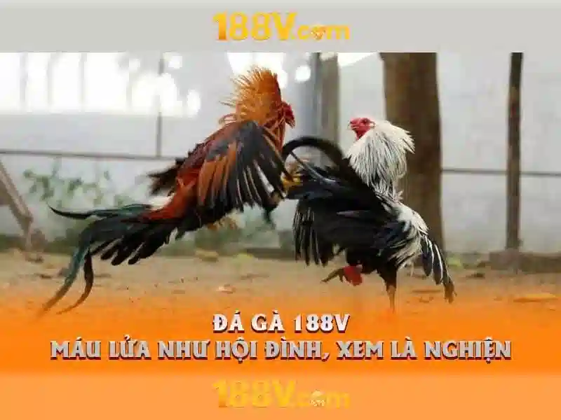 Tương lai của 188v