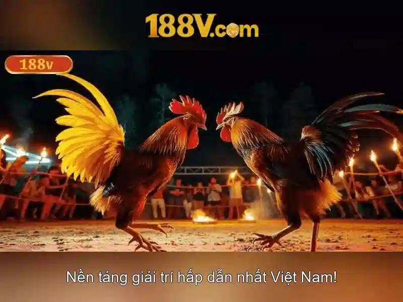 188v: Khai thác khái niệm và ứng dụng của một hệ thống đặc thù
