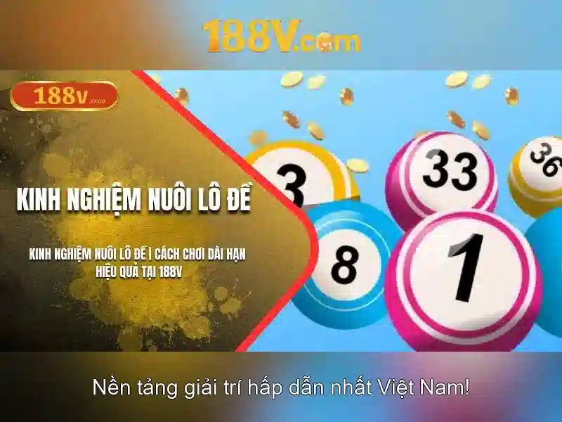 Kết nối và giáo dục