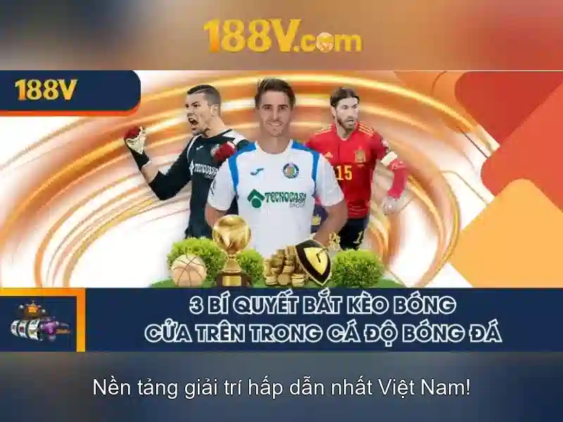Khái niệm và nguồn gốc