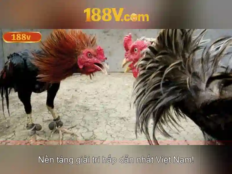 188v: Ý nghĩa và ứng dụng của một con số đặc biệt