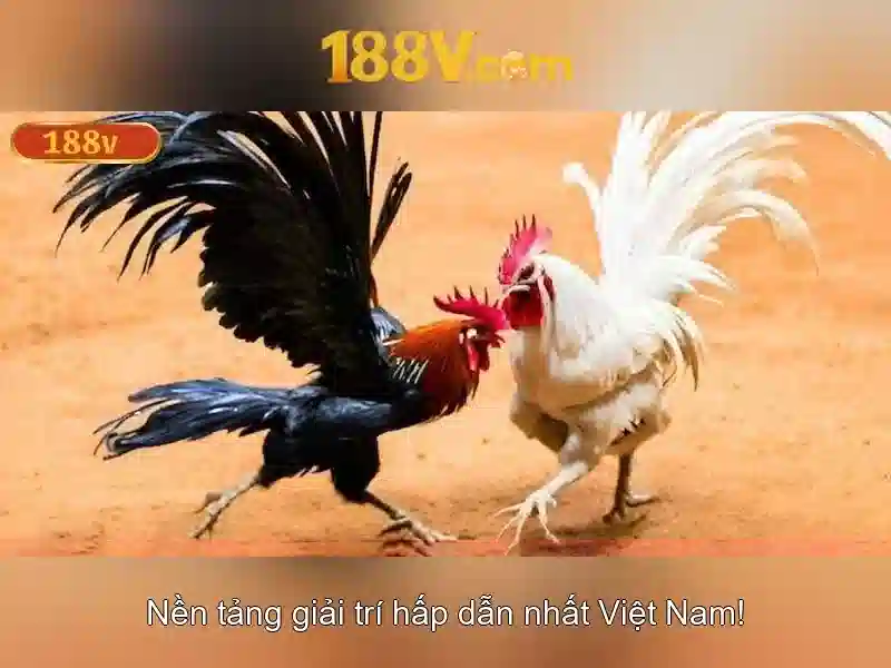 An toàn và biện pháp bảo hộ khi làm việc với 188V