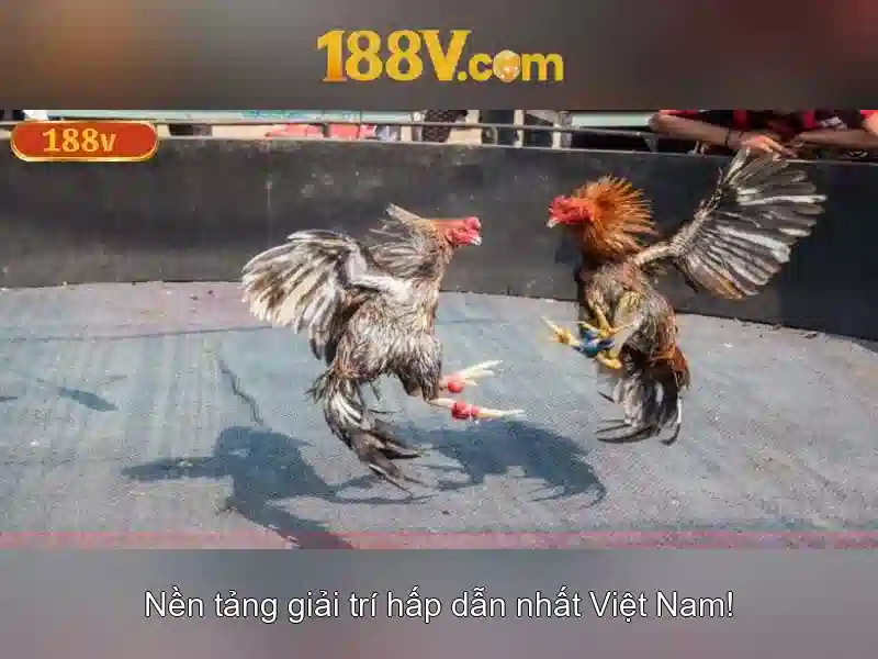 Ứng dụng và cách đo lường
