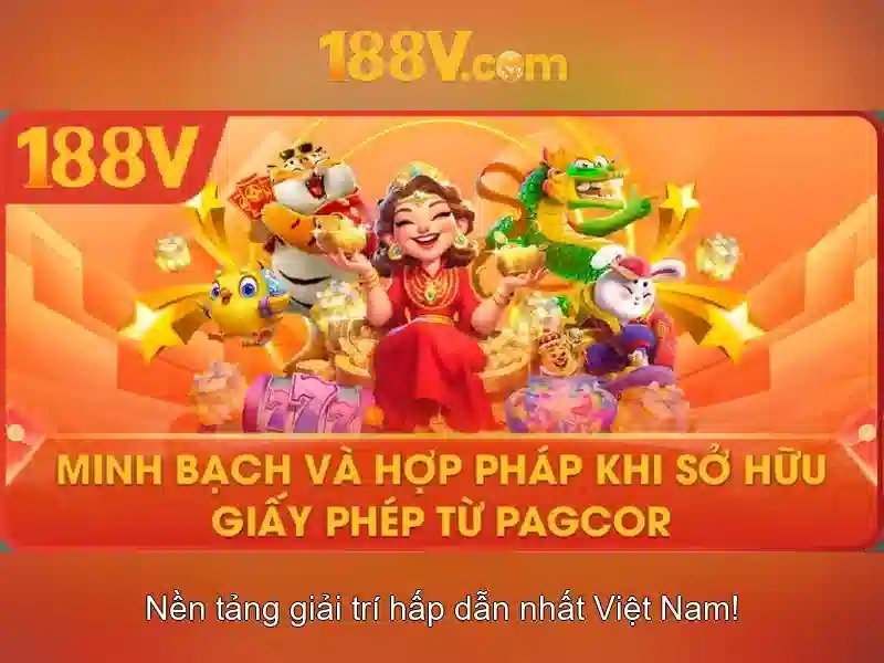 Trải nghiệm người dùng và phản hồi cộng đồng