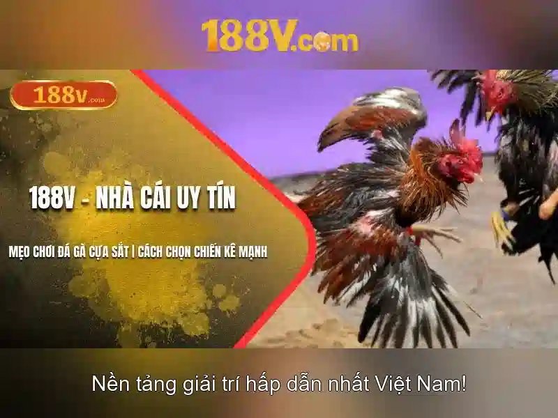 188v: Hành trình khám phá thế giới ảo
