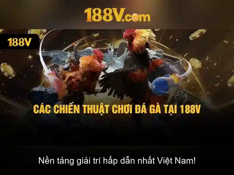 Phát triển và tầm nhìn tương lai