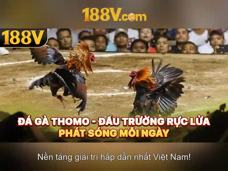 Ý nghĩa của 188v