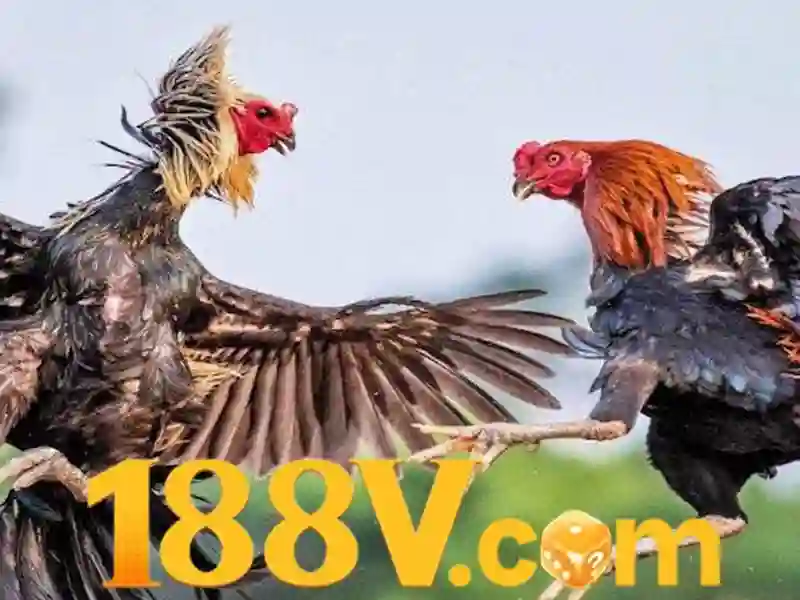 188v: Hành trình khám phá con số và ý nghĩa của nó
